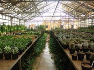 دانلود تحقیق گلخانه