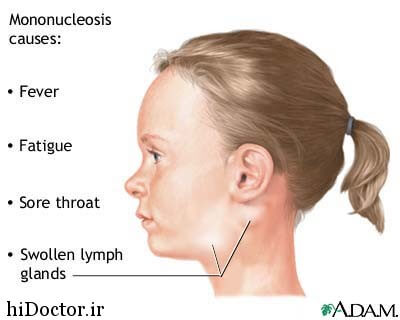 دانلود تحقیق غدد لنفاوی