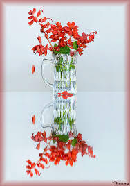 دانلود پروژه سراروک