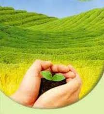 دانلود پروژه استاندارد های فعالیت کشاورزی